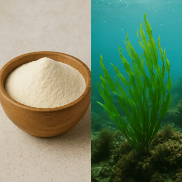 Colágeno marino tipo II: evidencia científica y beneficios para la piel y las articulaciones