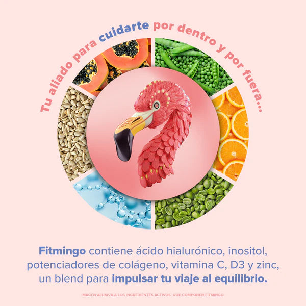 Proteina Vegetal Birdman Fitmingo 1020g Vainilla