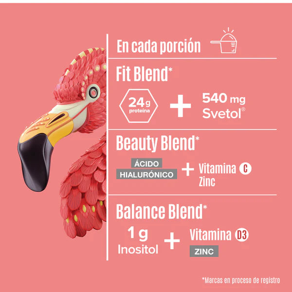 Proteina Vegetal Birdman Fitmingo 1020g Vainilla