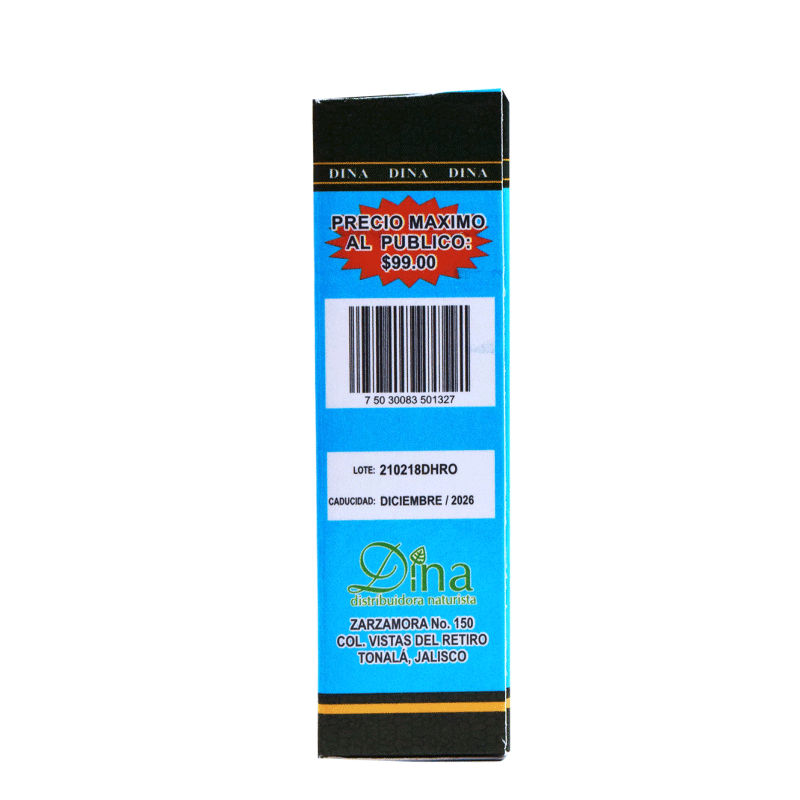 Cineraria Maritima 40 Ml