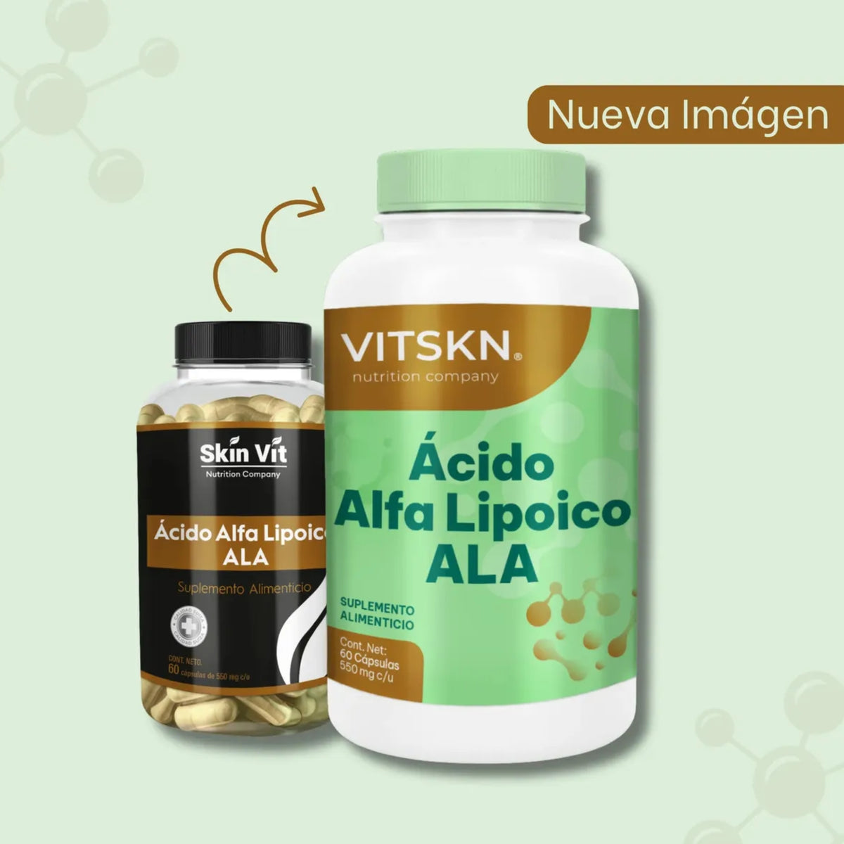 Ácido Alfa Lipoico VITSKN 60 Cápsulas - imagen 4