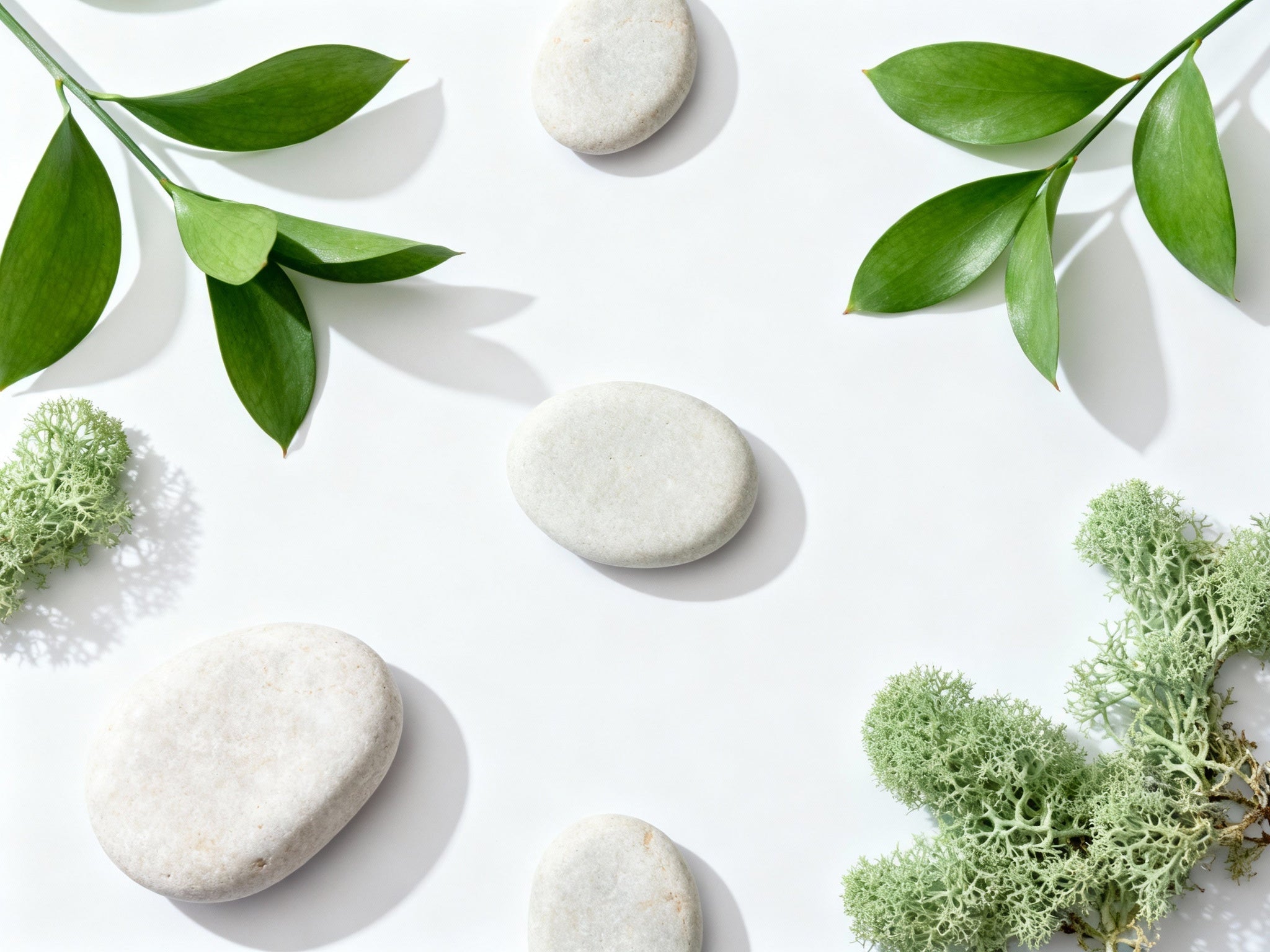 Probióticos: Guía completa 2025-2026 (Cepas, Dosis, Efectividad)