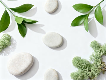 Probióticos: Guía completa 2025-2026 (Cepas, Dosis, Efectividad)