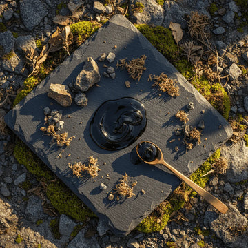 Shilajit: Beneficios, usos y evidencia científica de este potente suplemento