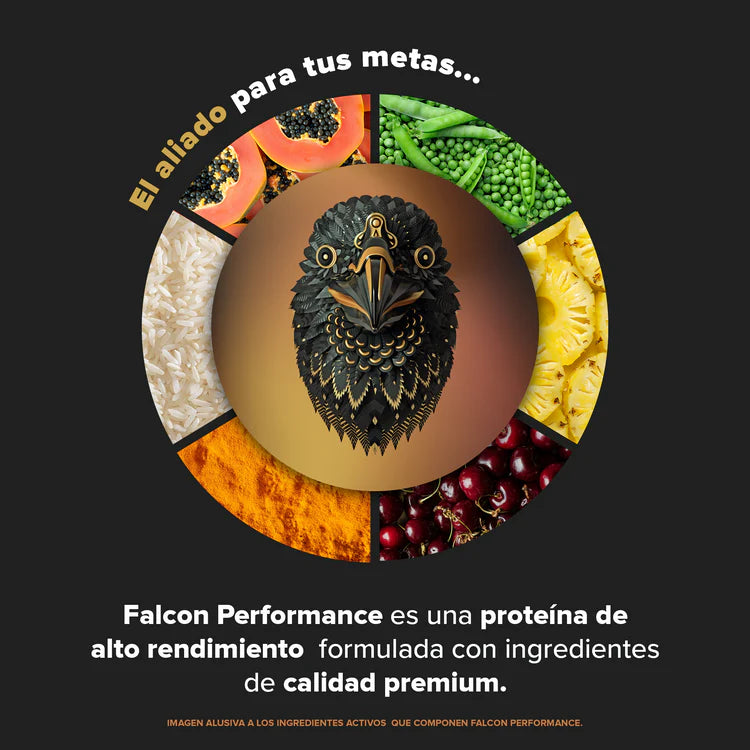 Proteína Vegetal Creatina Birdman Falcon Performance 1.9 Kg Choco Bronze