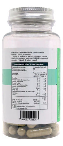 Triphala Premium Detox Antioxidante Digestivo 60 Caps Flow