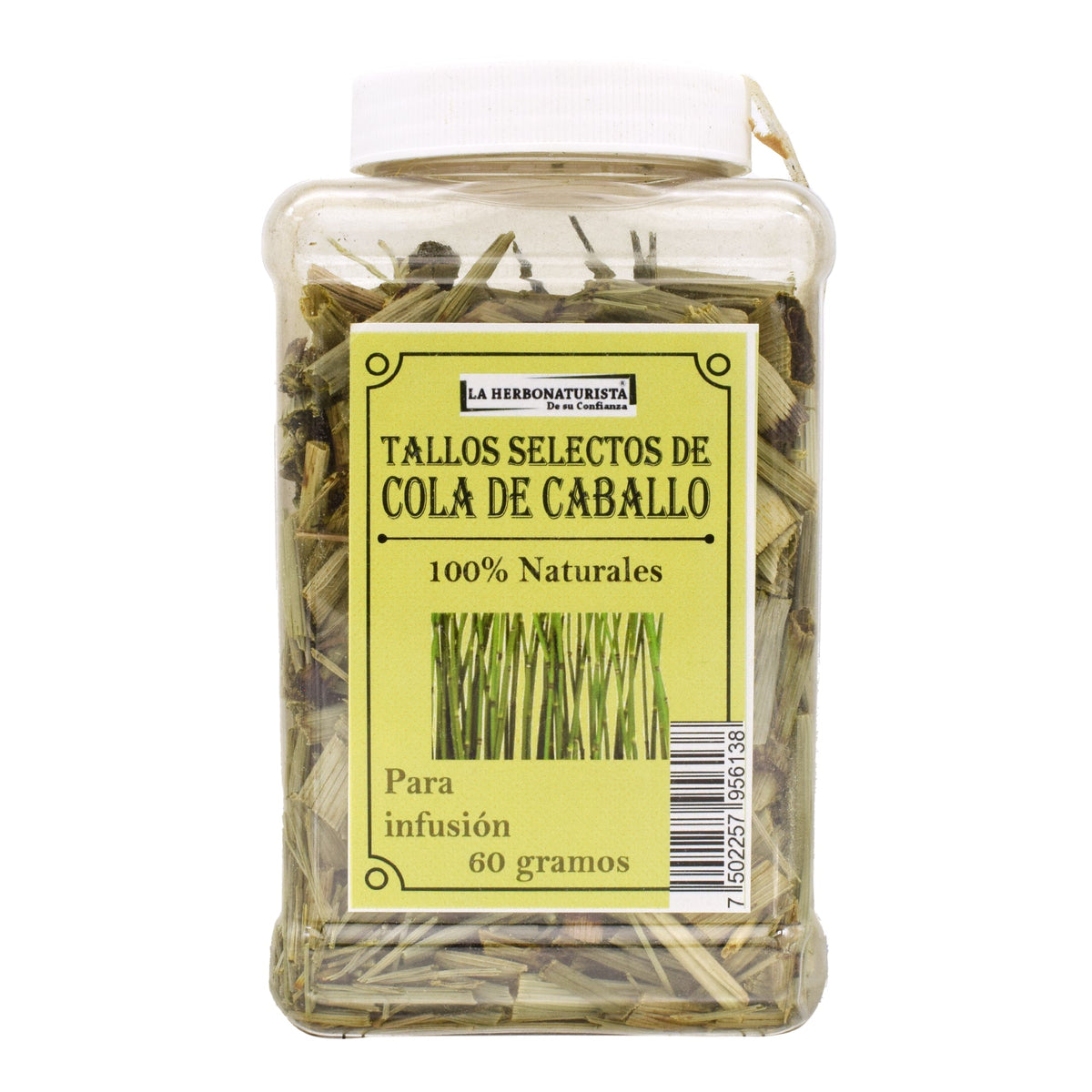COLA DE CABALLO 60 G