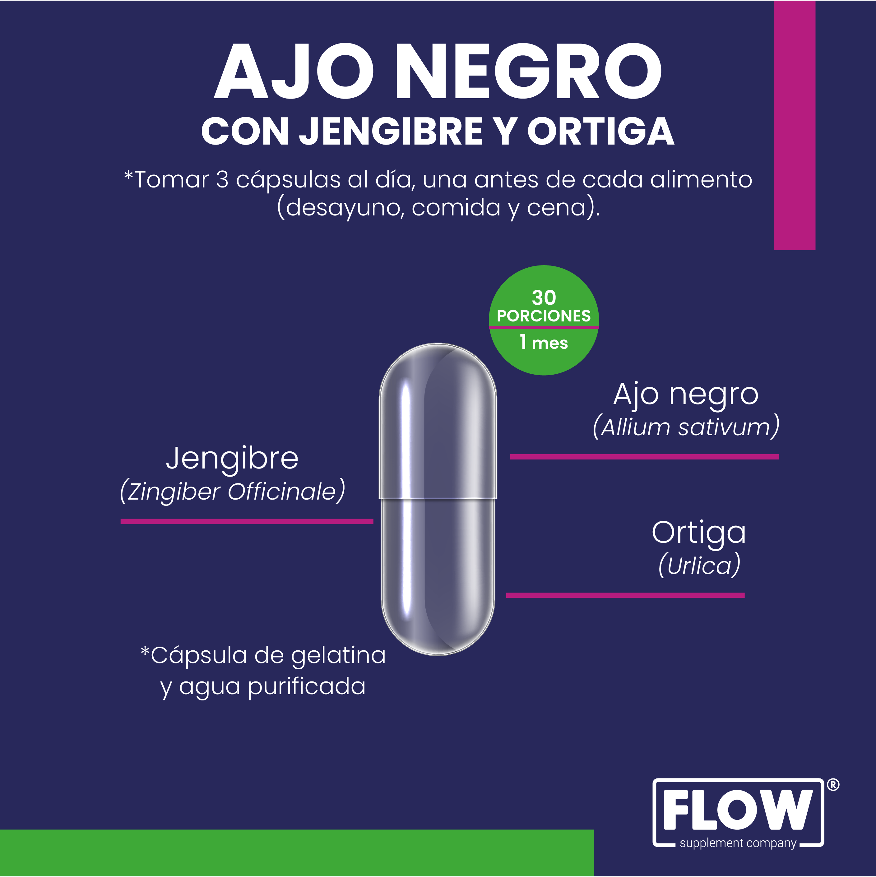 Ajo Negro, Jengibre y Ortiga Flow 90 cápsulas de 500 mg