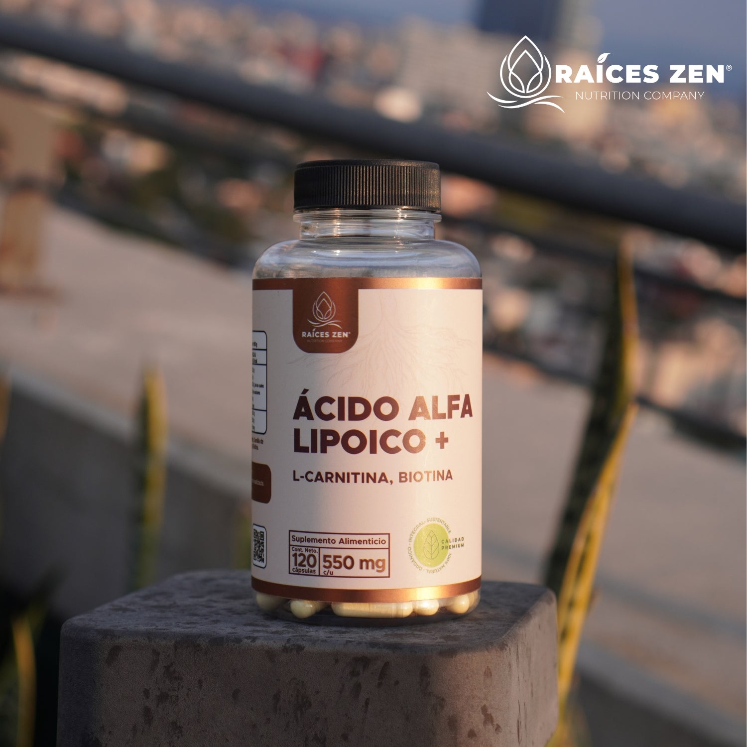 cido Alfa Lipoico + L-Carnitina y Biotina Super Premium Races Zen cido Alfa Lipoico + L-Carnitina y Biotina Super Premium Races Zen