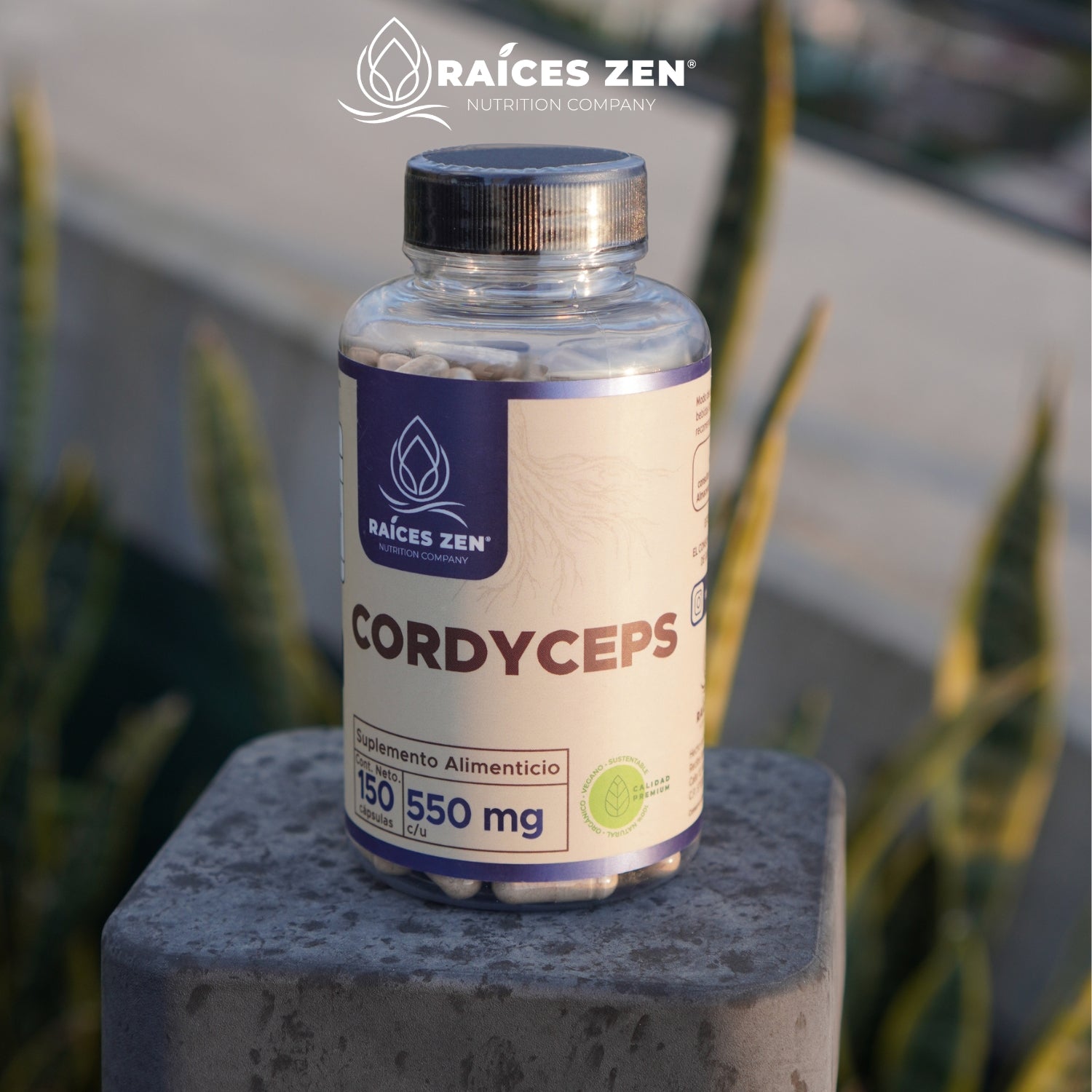 cordyceps para que sirve