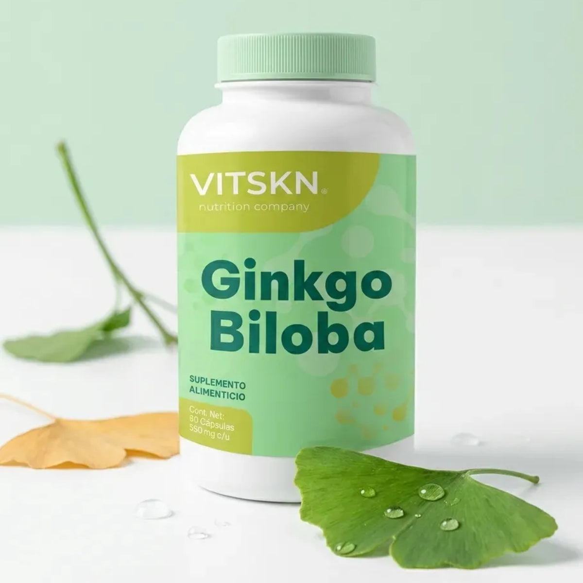 Ginkgo Biloba VITSKN 60 Cápsulas