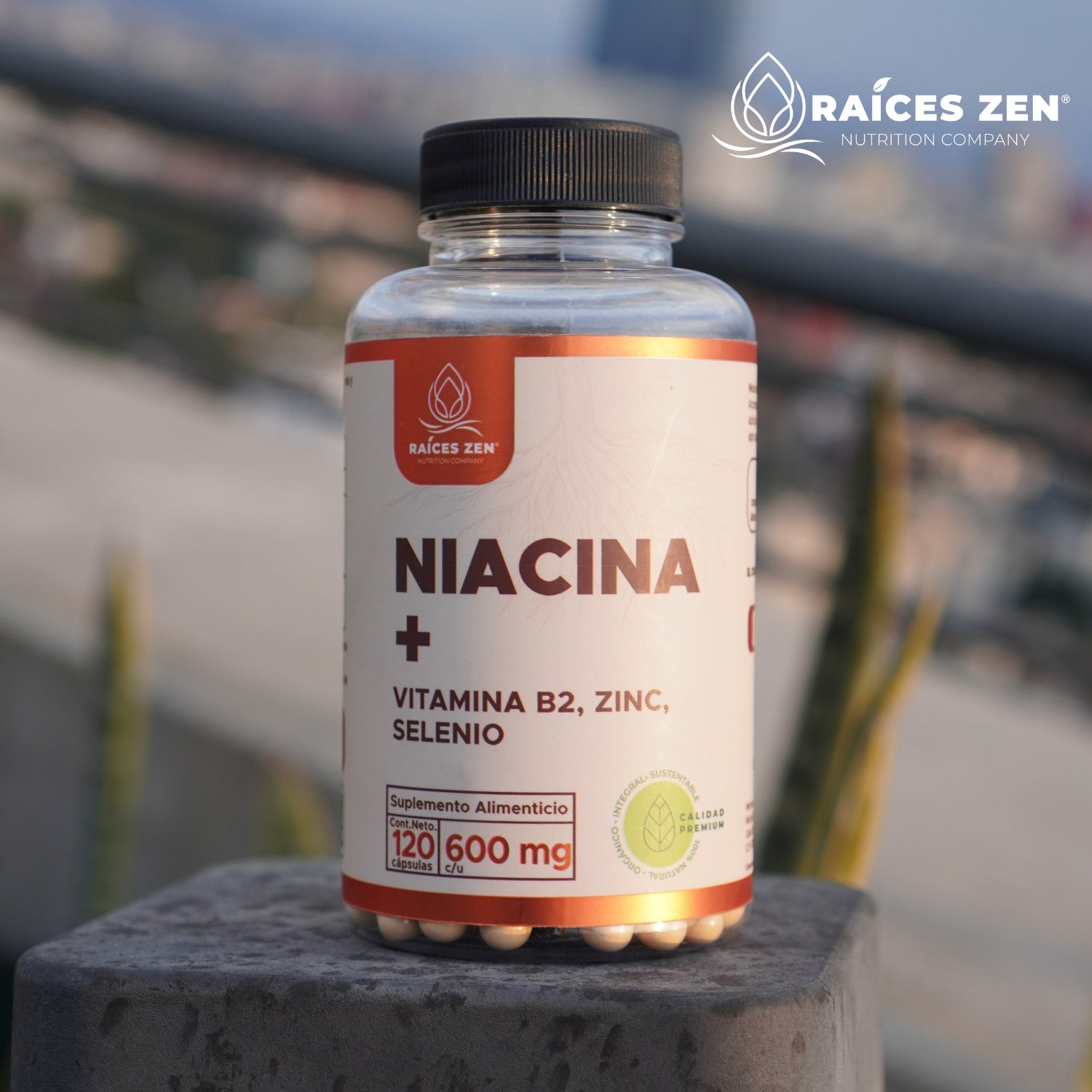 Niacina Vitamina B3 Raíces Zen