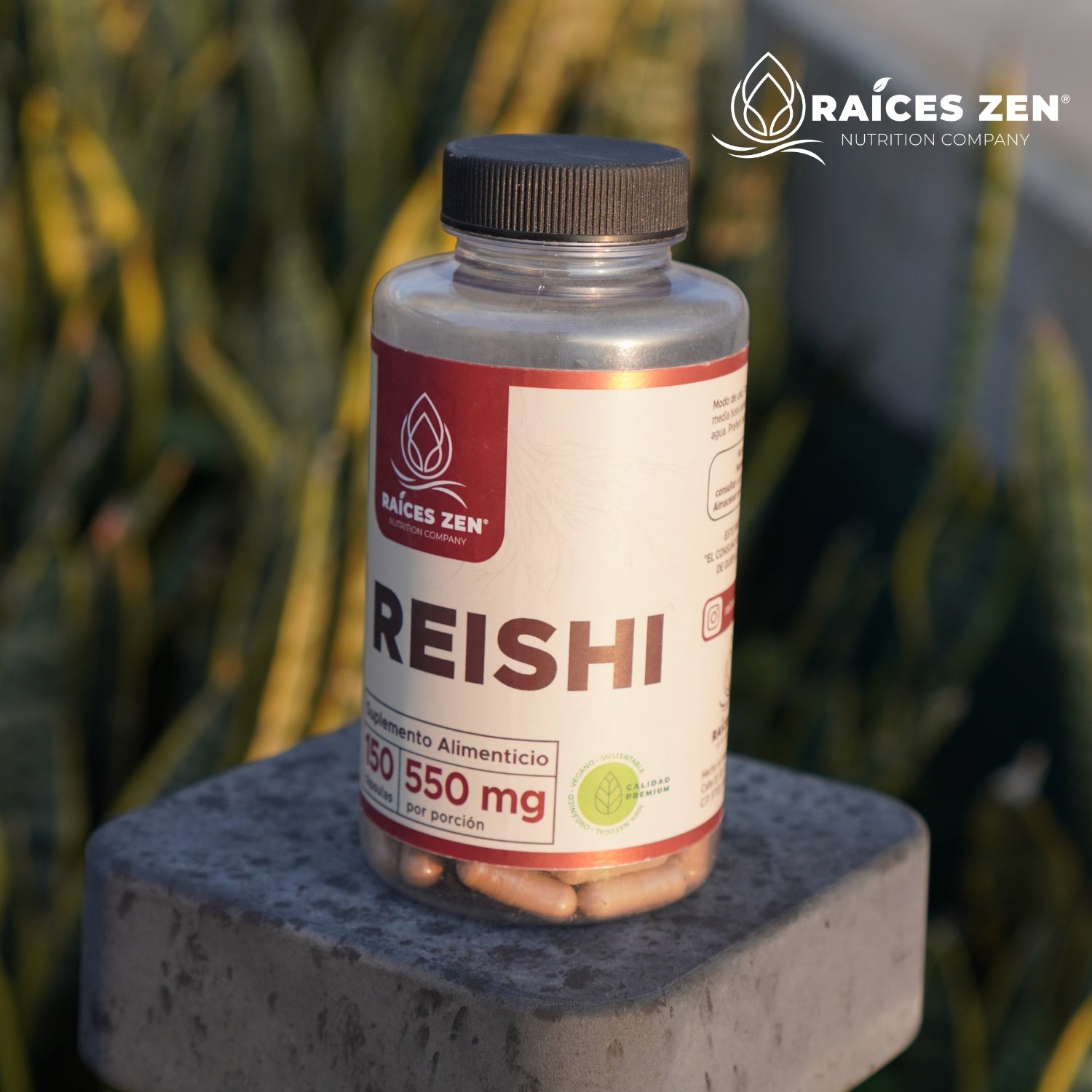 Reishi para que sirve raices zen