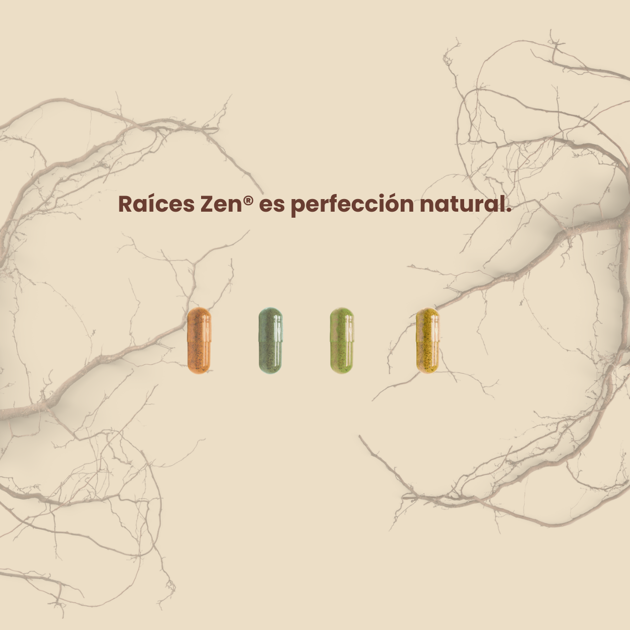 Ácido Alfa Lipoico + L-Carnitina y Biotina Super Premium Raíces Zen