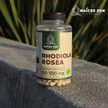 Rhodiola Rosea Raíces Zen