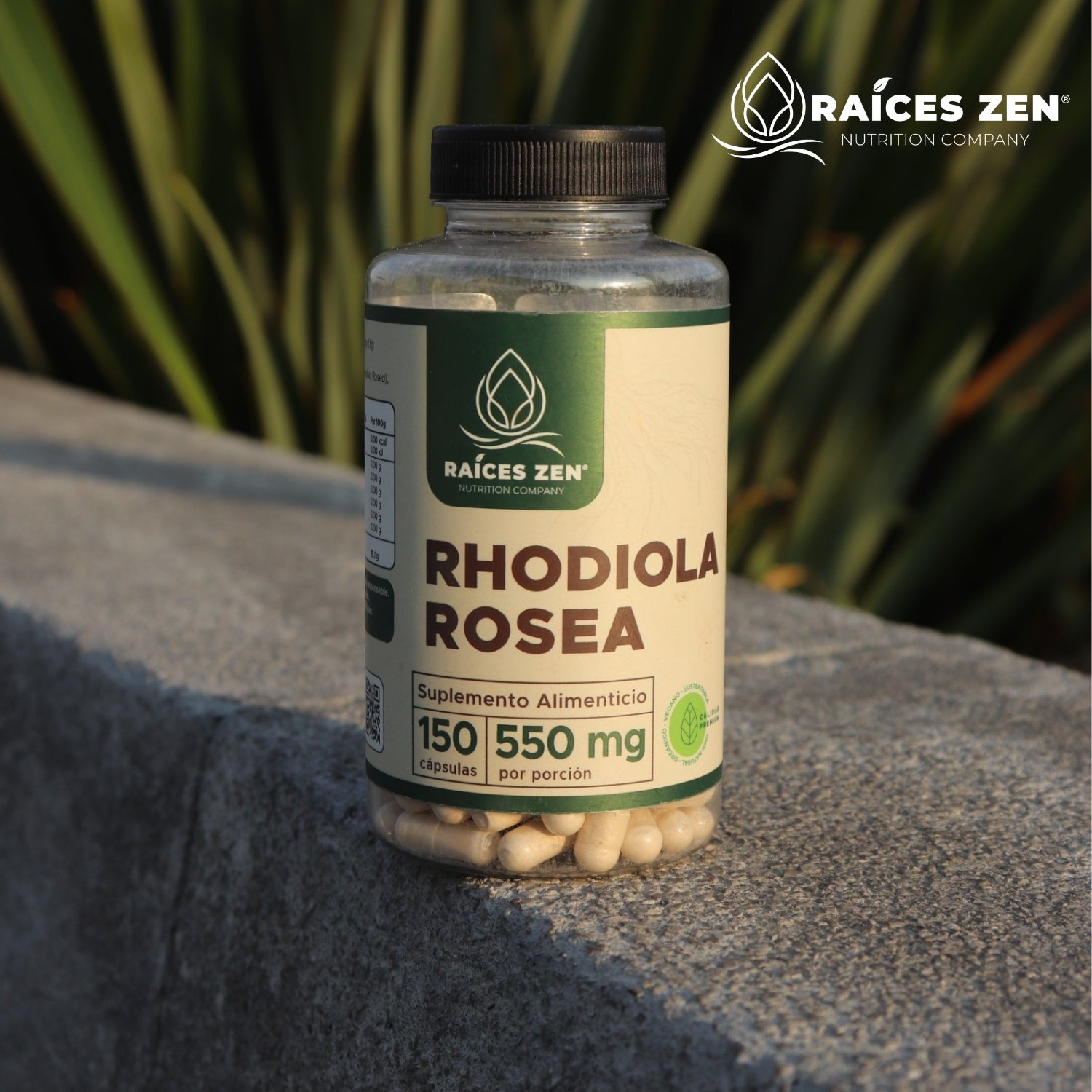 Rhodiola Rosea Raíces Zen